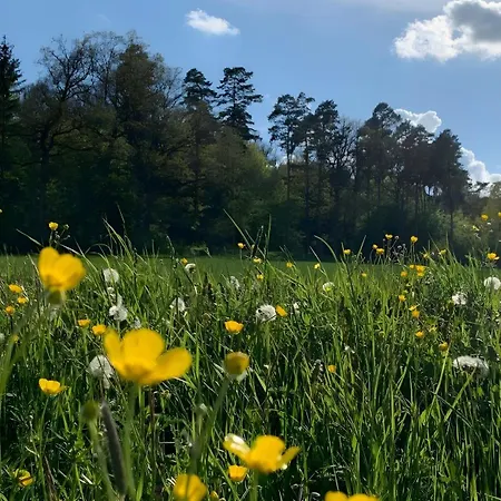 Apartamento Familie Schleicher *